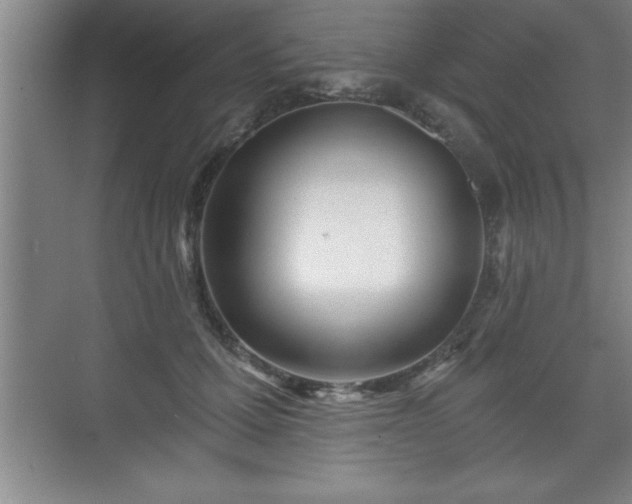 X0000071330607200606301602