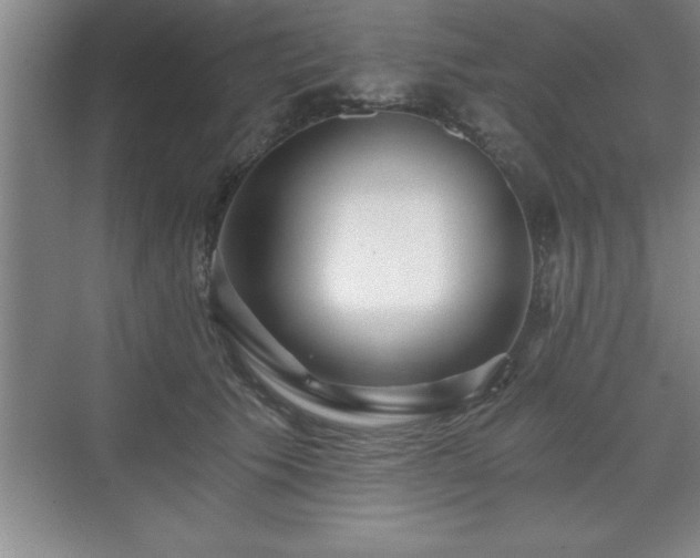 X0000071330609200606301602