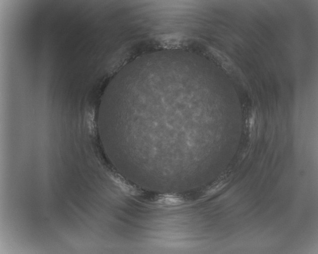 X0000071330610200606301602