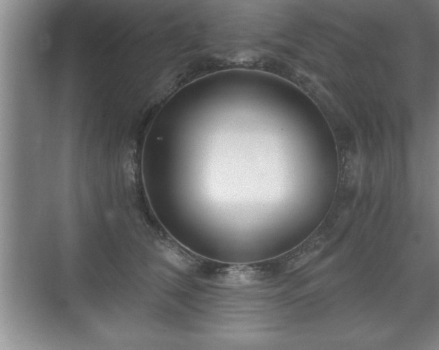 X0000071330612200606301602