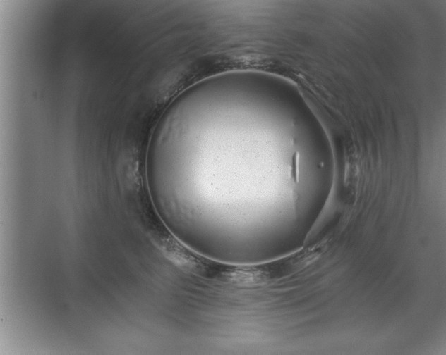 X0000071330615200606301602