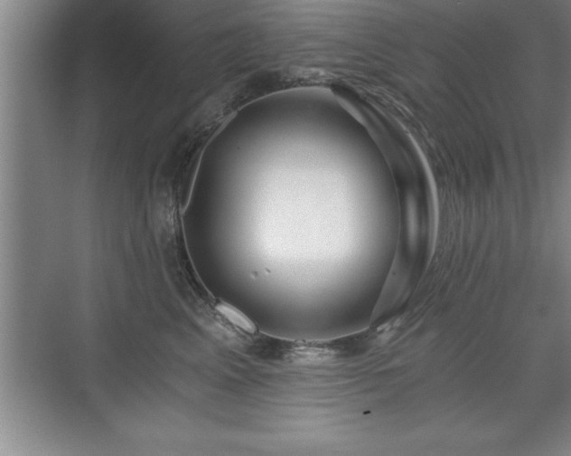 X0000071330617200606301602