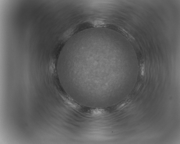 X0000071330618200606301602