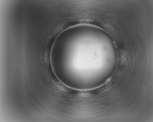 X0000071330619200606301602