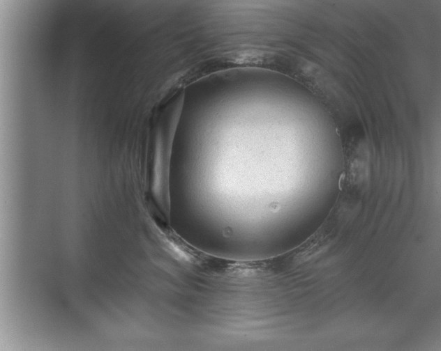 X0000071330620200606301602