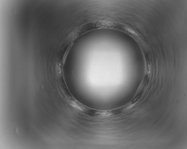 X0000071330621200606301602