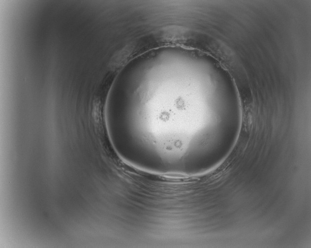 X0000071330623200606301602