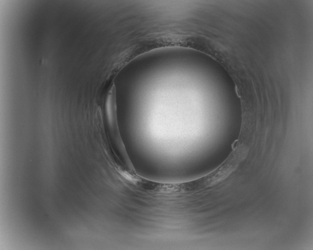 X0000071330624200606301602