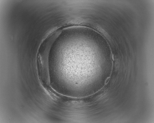 X0000071330626200606301601