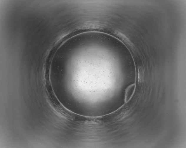 X0000071330627200606301601