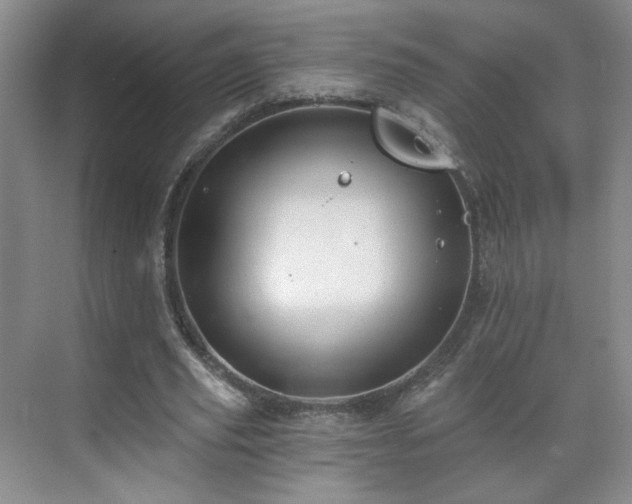 X0000071330629200606301601