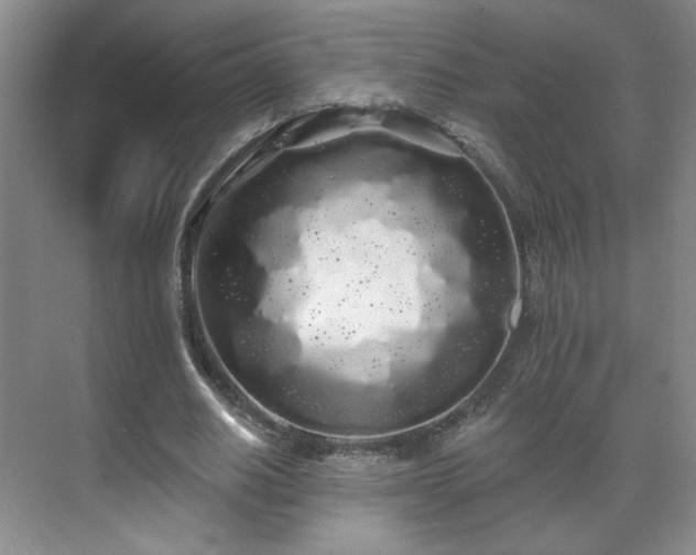 X0000071330630200606301601