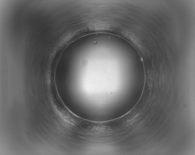 X0000071330631200606301601