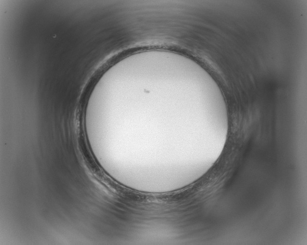 X0000071330632200606301601