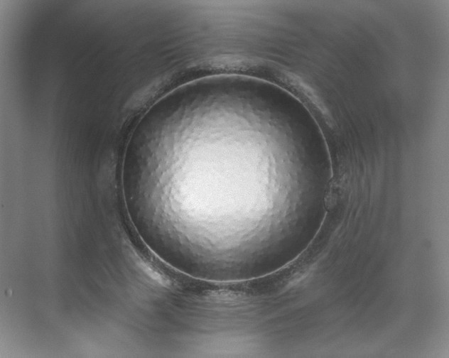 X0000071330633200606301601