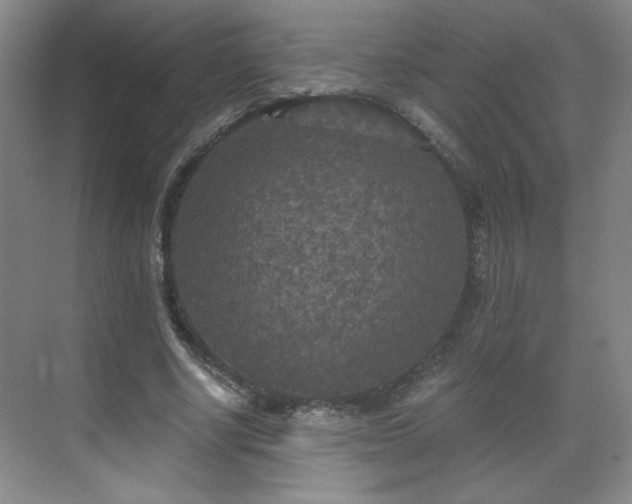 X0000071330634200606301601