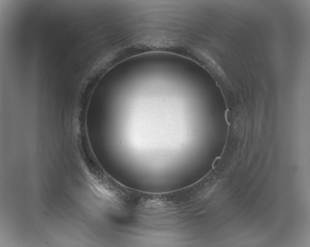 X0000071330635200606301601