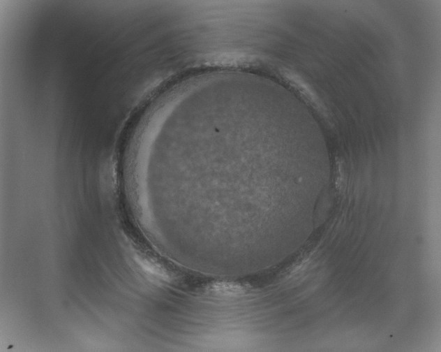 X0000071330636200606301601