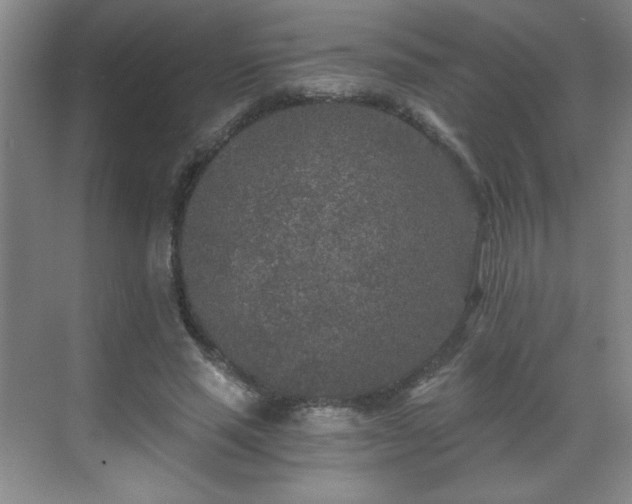 X0000071330637200606301601