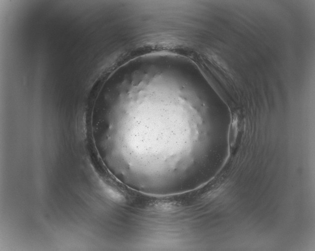 X0000071330638200606301601