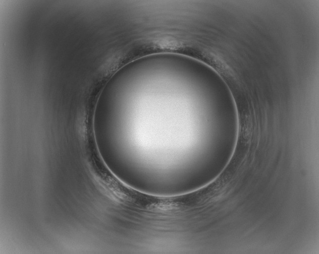 X0000071330639200606301601