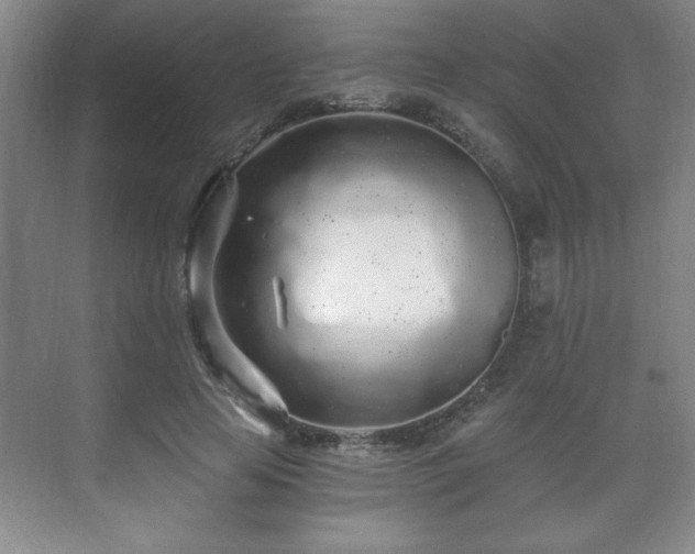 X0000071330641200606301601