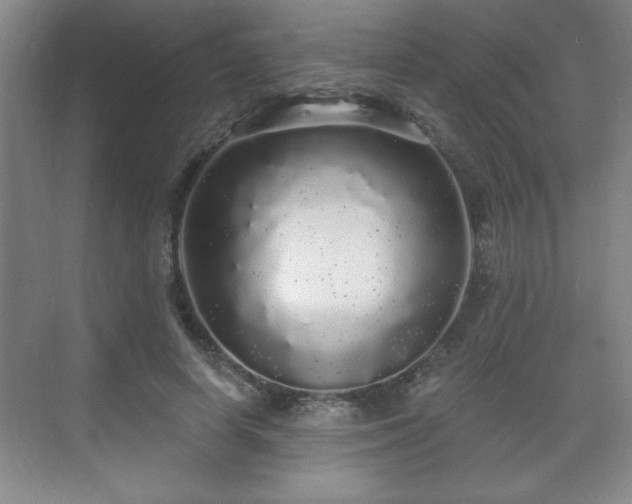 X0000071330642200606301601