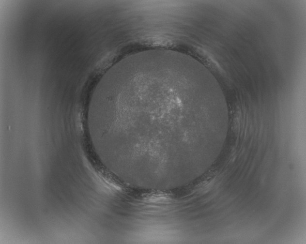 X0000071330643200606301601