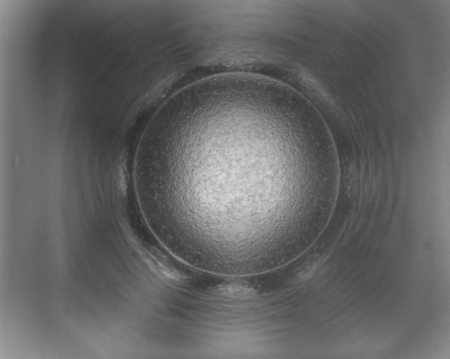 X0000071330644200606301602