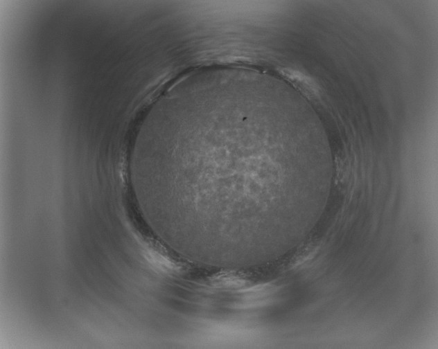 X0000071330648200606301602