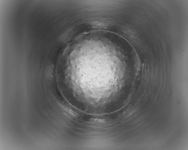 X0000071330649200606301602