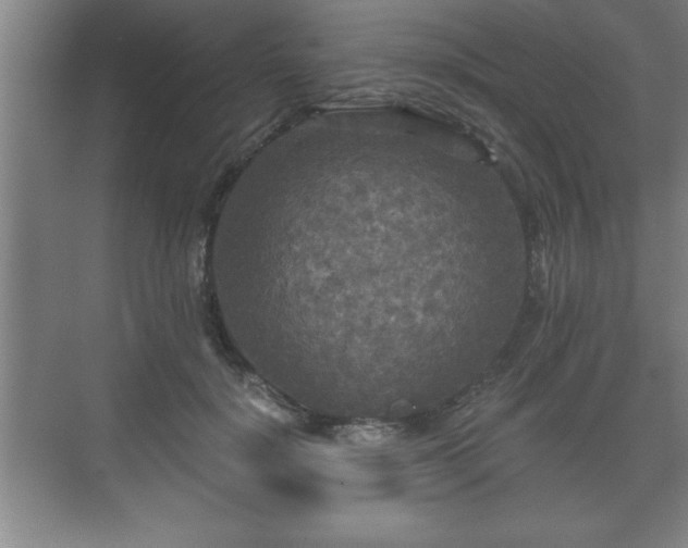 X0000071330652200606301602