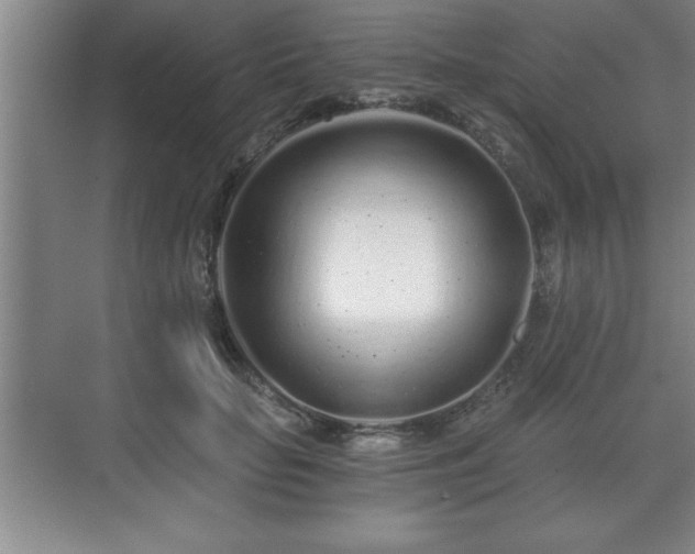 X0000071330653200606301602