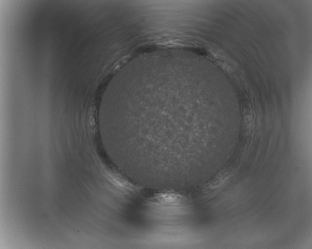 X0000071330654200606301602