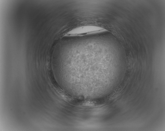 X0000071330656200606301602