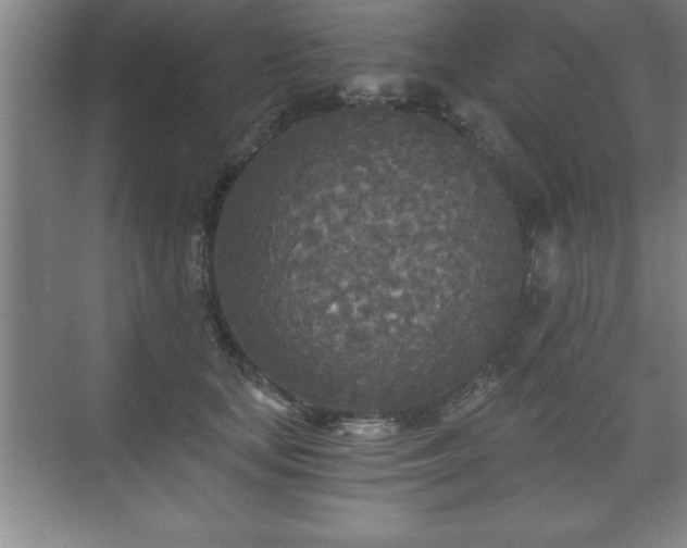 X0000071330659200606301602