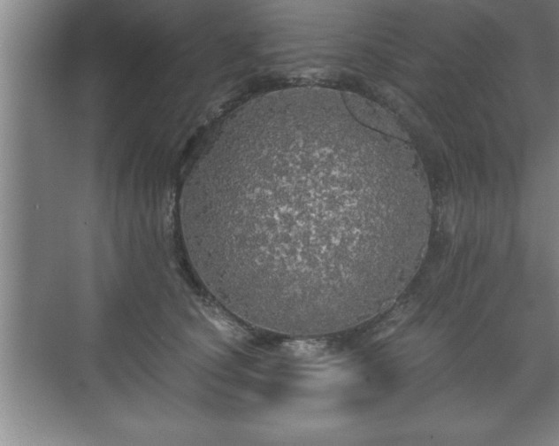 X0000071330660200606301602