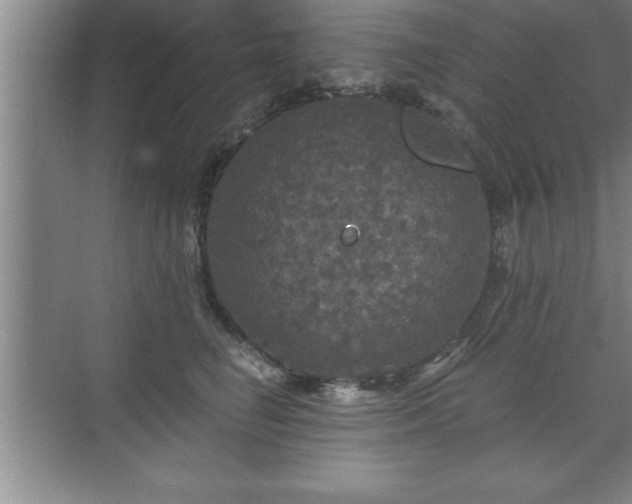 X0000071330662200606301602