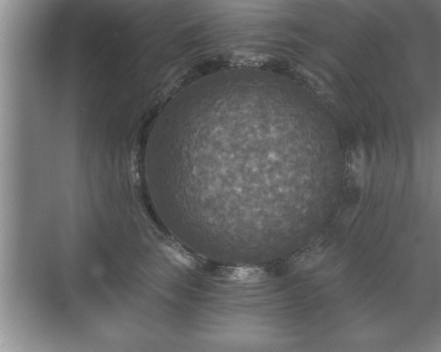 X0000071330663200606301602