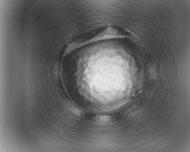 X0000071330665200606301602