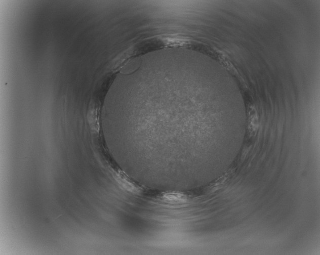 X0000071330666200606301602