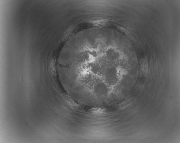 X0000071330667200606301602