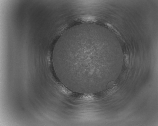 X0000071330668200606301602