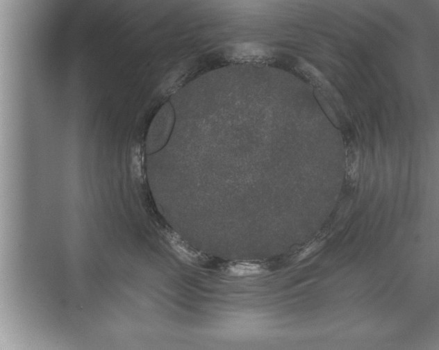 X0000071330669200606301602