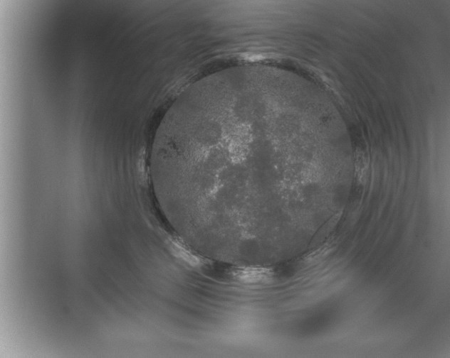 X0000071330670200606301602