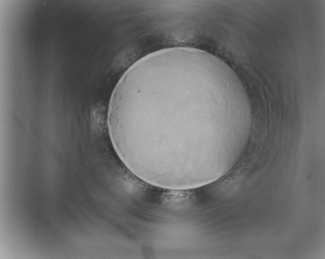 X0000071330672200606301602