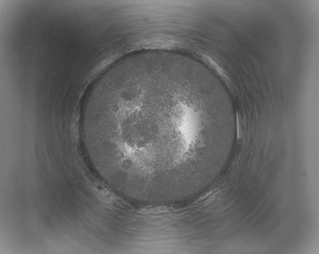 X0000071330675200606301601