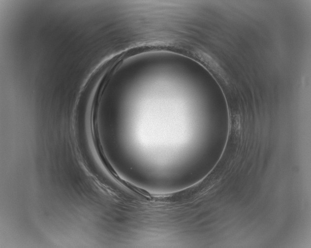 X0000071330676200606301601