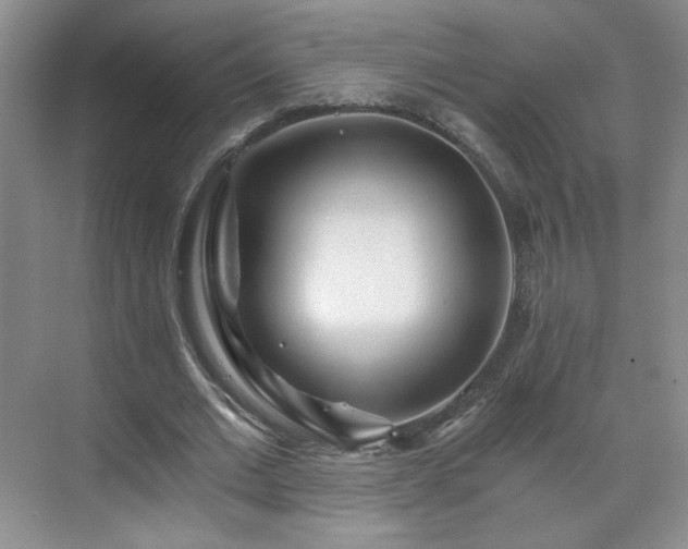 X0000071330677200606301601