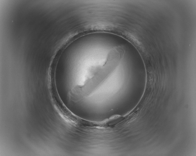 X0000071330678200606301601